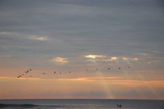 Surfingowiec na głupoty plaży Południowa Karolina fotografia stock Surfingowiec na głupoty plaży Południowa Karolina fotografia stock