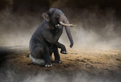 Surreal Elephant Think, Ideas, Innovation stock photos Surreal Elephant Think, Ideas, Innovation stock photos