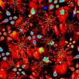 Surreal kosmische magische ongebruikelijke naadloze eindeloze waterverfpatroon herhaalt royalty-vrije illustratie Surreal kosmische magische ongebruikelijke naadloze eindeloze waterverfpatroon herhaalt royalty-vrije illustratie