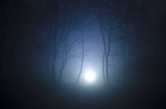 Surreal Light In Dark Forest, Magic Fantasy Lights In The Fairy Foggy Forest Royalty Free Stock Photography Surreal Light In Dark Forest, Magic Fantasy Lights In The Fairy Foggy Forest Royalty Free Stock Photography