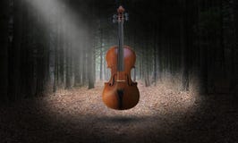 Surreal Violin, Music, Misical Instrument stock photos Surreal Violin, Music, Misical Instrument stock photos