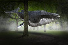 Surreal Vliegende Walvis, Bos, Aard stock afbeelding Surreal Vliegende Walvis, Bos, Aard stock afbeelding