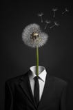 Surrealism and business topic: dandelion flower head instead of a man in a black suit on a dark background in the studio