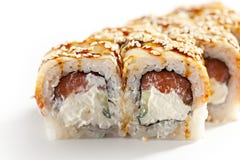 Sushi saumonés et fumés de Maki d'anguille Image libre de droits Sushi saumonés et fumés de Maki d'anguille Image libre de droits