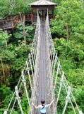 Suspension bridge, nature park