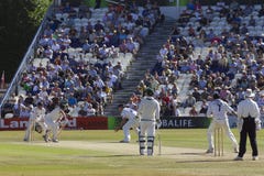 Sussex V Australia Cricket Tour Match Royalty Free Stock Images