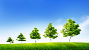 Free Sustainable Growth. Successful Development. Business Strategy. Green Technologies. Stock Photography - 49190042