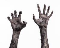 Svart hand av död, gå absolut, levande dödtema, halloween tema, levande dödhänder, vit bakgrund, mammahänder fotografering för bildbyråer Svart hand av död, gå absolut, levande dödtema, halloween tema, levande dödhänder, vit bakgrund, mammahänder fotografering för bildbyråer