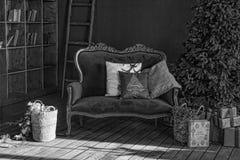 Svartvitt julgran i kunglig inre Nytt års vardagsrum med den antika stilfulla vita soffan med lyxigt guld- fotografering för bildbyråer Svartvitt julgran i kunglig inre Nytt års vardagsrum med den antika stilfulla vita soffan med lyxigt guld- fotografering för bildbyråer