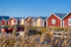 Svedjehamn, Финляндия - 14-ое октября 2018: Красные удя дома на солнечной погоде на Swedjehamn с заводом на переднем плане стоковое фото rf Svedjehamn, Финляндия - 14-ое октября 2018: Красные удя дома на солнечной погоде на Swedjehamn с заводом на переднем плане стоковое фото rf