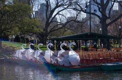 Swan Boats in Boston Public Garden Royalty Free Stock Photo Swan Boats in Boston Public Garden Royalty Free Stock Photo