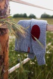The sweater is gray in the field stock images The sweater is gray in the field stock images