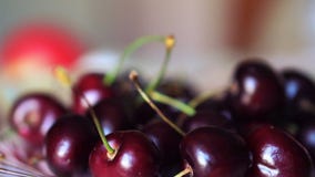 The Sweet cherries. On the rotate plate The Sweet cherries. On the rotate plate