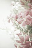 Sweet Color Flowers In Soft Style On Mulberry Paper Texture Stock Image Sweet Color Flowers In Soft Style On Mulberry Paper Texture Stock Image