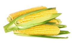 Sweet Corn Royalty Free Stock Images