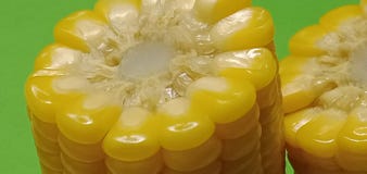 Sweet corn, beautiful yellow kernels to eat  green background