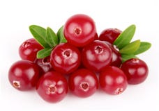 Sweet Cranberries With Leafs Stock Images