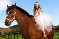 Sweet girl riding horse. Royalty Free Stock Images Sweet girl riding horse. Royalty Free Stock Images