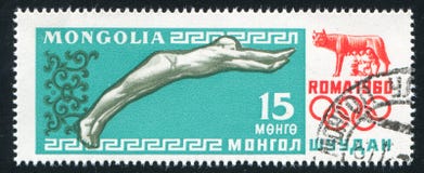 swimmer immagine stock swimmer immagine stock