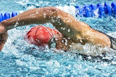 swimmer immagine stock swimmer immagine stock