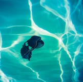 Swimming Pool Sunglasses Royalty Free Stock Photo