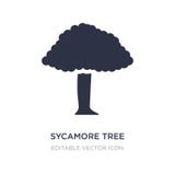 sycamore tree icon on white background. Simple element illustration from Nature concept stock illustration sycamore tree icon on white background. Simple element illustration from Nature concept stock illustration