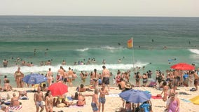 SYDNEY, AUSTRALIA - 31 GENNAIO 2016: nuotatori e frequentatori della spiaggia alla spiaggia del bondi di Sydney fotografie stock SYDNEY, AUSTRALIA - 31 GENNAIO 2016: nuotatori e frequentatori della spiaggia alla spiaggia del bondi di Sydney fotografie stock