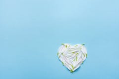 Symbole de coeur fait à partir des pétales de fleur blanche sur le fond bleu Pureté romantique d'amour de jour du ` s de Valentin photos libres de droits Symbole de coeur fait à partir des pétales de fleur blanche sur le fond bleu Pureté romantique d'amour de jour du ` s de Valentin photos libres de droits
