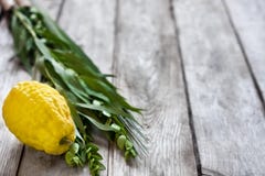 Symbols of Sukkot Stock Image Symbols of Sukkot Stock Image