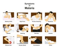 Symptoms of Malaria royalty free illustration Symptoms of Malaria royalty free illustration