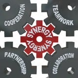 Synergy Gears - Teamwork in Action