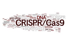 System CRISPR/Cas9 för att redigera, reglering och att uppsätta som mål av ordmolnet för genom (bioteknik och genteknik) royaltyfri illustrationer System CRISPR/Cas9 för att redigera, reglering och att uppsätta som mål av ordmolnet för genom (bioteknik och genteknik) royaltyfri illustrationer