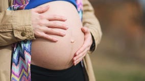 Szczegółowa zbliżenie kobieta ostrożnie i czule carees jej brzuszek z małym dzieckiem inside, Równomierny krzywka, wolny mo strza zbiory Szczegółowa zbliżenie kobieta ostrożnie i czule carees jej brzuszek z małym dzieckiem inside, Równomierny krzywka, wolny mo strza zbiory
