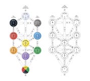Szczegółowy Sephirot drzewo życie, kabbalah plan na bielu ilustracji Szczegółowy Sephirot drzewo życie, kabbalah plan na bielu ilustracji