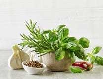 szczypiorków świeżych ziół odosobnione przyprawa białe obrazy stock szczypiorków świeżych ziół odosobnione przyprawa białe obrazy stock