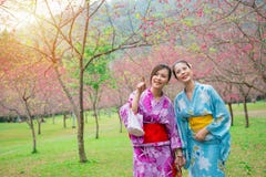 Szczęśliwe eleganckie dziewczyny jest ubranym japońskiego kimono zdjęcia royalty free Szczęśliwe eleganckie dziewczyny jest ubranym japońskiego kimono zdjęcia royalty free