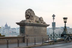 Szechenyi Bridge in Budapest Hungary. Beautiful Danube river. Night view. stock image Szechenyi Bridge in Budapest Hungary. Beautiful Danube river. Night view. stock image