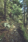 szenische und schöne Tourismusspur im Park Slovensky-raj, SL Stockbild szenische und schöne Tourismusspur im Park Slovensky-raj, SL Stockbild