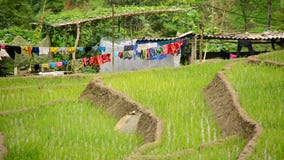 Szenisches Sapa Vietnam stock video footage Szenisches Sapa Vietnam stock video footage