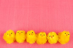 Sześć małych Easter kurczaków na rzędzie zdjęcie royalty free Sześć małych Easter kurczaków na rzędzie zdjęcie royalty free