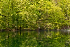 szmaragdowy Canada brytyjski jezioro Columbia lokalizować park narodowy yoho fotografia stock szmaragdowy Canada brytyjski jezioro Columbia lokalizować park narodowy yoho fotografia stock