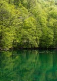 szmaragdowy Canada brytyjski jezioro Columbia lokalizować park narodowy yoho fotografia stock szmaragdowy Canada brytyjski jezioro Columbia lokalizować park narodowy yoho fotografia stock