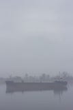 Sänd på den IJssel floden nära Wilsum under en tidig solig och dimmig morgon royaltyfria bilder Sänd på den IJssel floden nära Wilsum under en tidig solig och dimmig morgon royaltyfria bilder