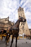 Séville - chariot de touristes de cheval photos libres de droits Séville - chariot de touristes de cheval photos libres de droits