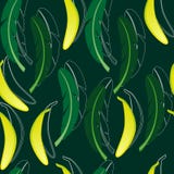 Sömlös bakgrund med bananen och bananpalmblad vektor illustrationer Sömlös bakgrund med bananen och bananpalmblad vektor illustrationer