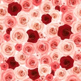 Sömlös bakgrund med rosa färger och burgundy rosor också vektor för coreldrawillustration stock illustrationer Sömlös bakgrund med rosa färger och burgundy rosor också vektor för coreldrawillustration stock illustrationer