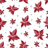 Sömlös modell för jul med julstjärnan och bär royaltyfri illustrationer Sömlös modell för jul med julstjärnan och bär royaltyfri illustrationer