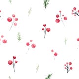 Sömlös modell för jul med järnekbär och filialer Festlig prydnad för nytt år för vattenfärg för inpackning stock illustrationer Sömlös modell för jul med järnekbär och filialer Festlig prydnad för nytt år för vattenfärg för inpackning stock illustrationer