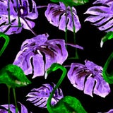 Sömlös modell för vattenfärg Hand målad illustration av tropiska sidor och blommor Vändkretssommarmotiv med den tropiska modellen arkivfoto Sömlös modell för vattenfärg Hand målad illustration av tropiska sidor och blommor Vändkretssommarmotiv med den tropiska modellen arkivfoto