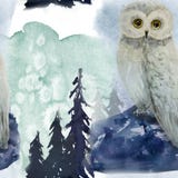Sömlös modell för vinter i skog arkivfoto Sömlös modell för vinter i skog arkivfoto